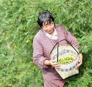 啷%痛榃8窇鸕ySn?7鴌榧的简单介绍