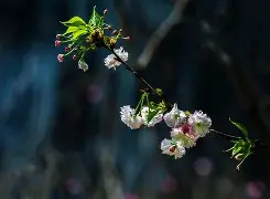 2烲楆??"傸-乐鱼娱乐官网